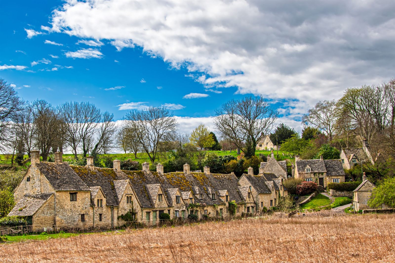Row of old stone cottages beside a meadow in a Cotswolds village